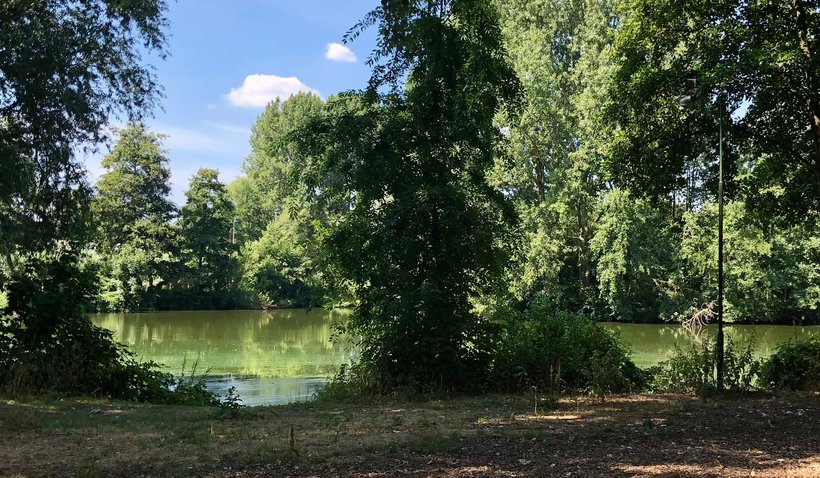  vijver in het Jan Banninkpark